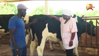 JOURNÉE DE LA FEMME AVEC Mme FATOU TOURÉ DOCTEUR VÉTÉRINAIRE [upl. by Ecnarret]