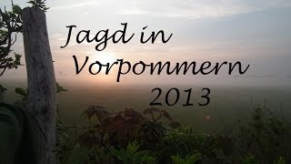 Jagd Mai in Vorpommern 2013 Bockjagd [upl. by Iow]