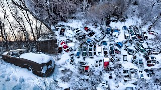 100 Classic Cars Abandoned in a Car Graveyard in Canada [upl. by Chyou]