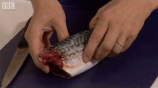 How to fillet a mackerel  BBC GoodFood com  BBC Food [upl. by Rossi156]