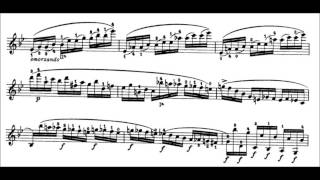 Niccolò Paganini  Caprice for Solo Violin Op 1 No 16 Sheet Music [upl. by Nuhsyar]