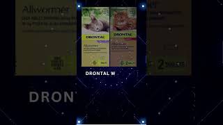 Drontal Wormer for Cats  Buy Drontal All Wormer Tablets Online  Vetsupply [upl. by Adiaros]