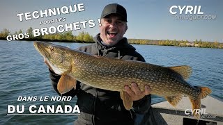 ÉNORMES BROCHETS dans le nord du Canada  Part 12 [upl. by Meer]