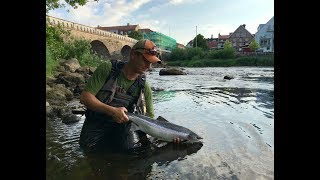 Jesper catches a salmon in Falkenberg [upl. by Dominic6]