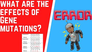 What Are The Effects of Gene Mutations [upl. by Wade]