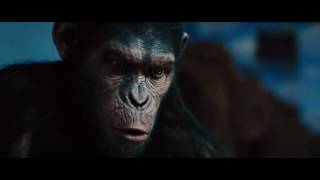 Rise of the planet of the apes  No scene [upl. by Darby]