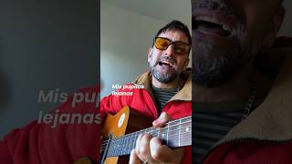 PUPILAS LEJANAS 🇦🇷 Los Pericos argentina musica cover lospericos [upl. by Arvo311]