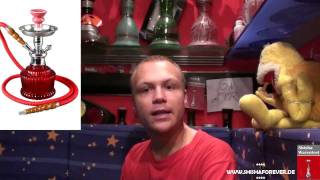 Shisha Tipps 15 Welche Wasserpfeife kaufen [upl. by Yonatan833]