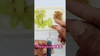 Grapefruit growth satisfying grapefruit coolgrape grapegrowing lifehacks satisfyingfruitcutt [upl. by Ennail414]