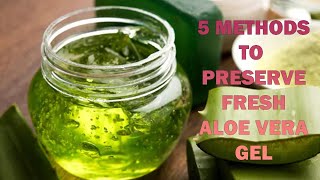 Preserve Aloe Vera Gel At Home [upl. by Trebbor]