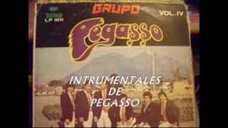 INSTRUMENTALES PEGASSO [upl. by Loesceke]