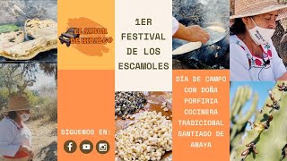 Salsa y gorditas de escamoles festival del escamol [upl. by Dazhehs]