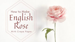 HOW TO MAKE CREPE PAPER ENGLISH ROSES  SCEPTERD ISLE  Colour quotwithoutquot PAN PASTEL [upl. by Hightower155]