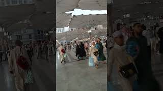 Ya Allah Semoga Yang Subscribe Channel Ini Bisa Segera Umroh Umrah Haji Ke Tanah Suci Makkah Madinah [upl. by Suired312]