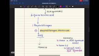 24🌸PORPHYRIAs COMPLETE MCQs 🔥  Very Important 👀✨ [upl. by Baiss]