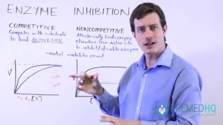 Types of Enzyme Inhibition Competitive vs Noncompetitive  MichaelisMenten Kinetics [upl. by Sidoeht509]