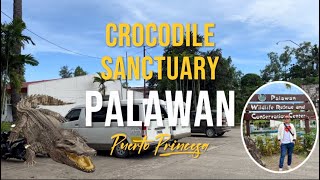 Crocodile Farm in Puerto Princesa Palawan Namangha ako sa Dami ng Crocodile  Kaotoys [upl. by Dnaltiac]