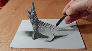 How To Draw A 3d Crocodile [upl. by Shargel410]