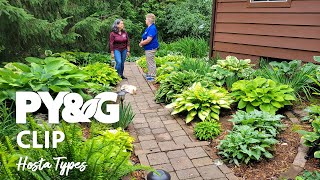 Hosta Types  Selecting and Growing Hostas  Prairie Yard amp Garden 3703 [upl. by Agostino]