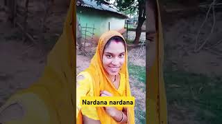 nardana nardana song love bollywood music hindisong [upl. by Airotcivairam920]