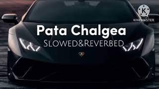 Pata ChalegaSlowedReverbImran Khan [upl. by Gitt]