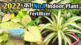 Best Fertilizer for Indoor Plants 2022  Houseplant Fertilizer For All Types of Indoor Plants [upl. by Aerehs]