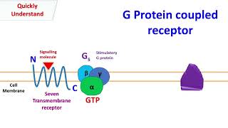 G protein coupled receptor  GPCR [upl. by Denny]