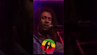 The Best Of Bob Marley  Bob Marley Greatest Hits  Bob Marley Reggae Songs 2024shorts [upl. by Htiduj855]