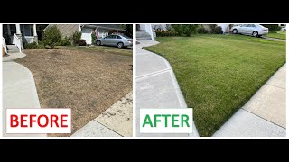 Replanting Front Yard Lawn from Seed [upl. by Olney]