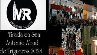 Tirada íntegra en la procesión de San Antonio Abad de Trigueros 2024 [upl. by Epul959]