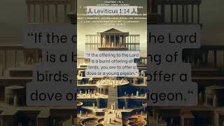 🙏🏾 Leviticus 114 🙏🏾 [upl. by Etiuqram]