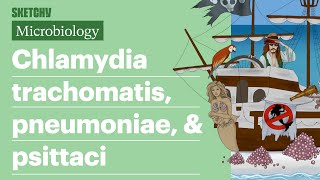 Chlamydia trachomatis pneumoniae amp psittaci  USMLE Step 1  Sketchy Medical [upl. by Gradey]