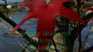 ANICETO MOLINA MIX DJR EL SALVADOR [upl. by Almire]