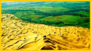 MIRACLE OF THE CHINA DESERT  China and Arab Race to Green the Desert [upl. by Nosnorb822]