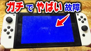 こんな酷い壊れ方してるSwitch初めて【ブルースクリーン】 [upl. by Assetnoc]