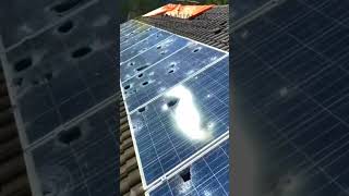 O QUE SERÁ QUE ACONTECEU COM ESSAS PLACAS SOLARES shorts energiasolar solarpanels [upl. by Garibull]