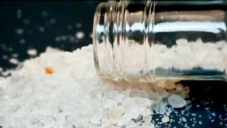 Designer drug flakka leads users to violent bizarre reactions [upl. by Ammadis]