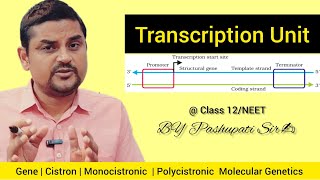 Transcription Unit 🔥  Molecular Genetics  Class 12NEET  by Pashupati Sir [upl. by Acirretal]