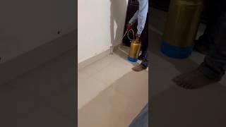 termites termitescontrol housecleaning homecleaning trending ytshorts viralvideo explore yt [upl. by Niassuh404]