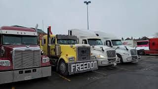 🔴LIVE Ottawa  RAW Footage Freedom Convoy 2022 Day 6  302 Coventry Rd  Wednesday Feb 2 [upl. by Eiramnerual315]