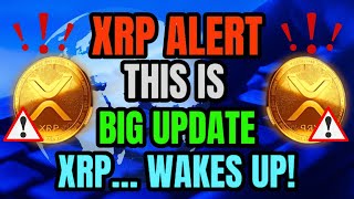 XRP… WAKES UP quot PERFECT STORM quot  XRP LATEST NEWS TODAYS cryptocurrency crypto news [upl. by Nylirehc]