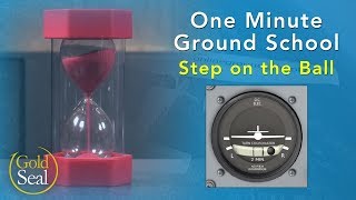 Coordinated Flight  One Minute Ground School [upl. by Clorinde]