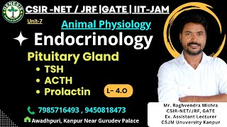 TSH  ACTH  Prolactin  Physiological Effects  Pituitary Gland  Animal Physiology  Unit7 [upl. by Emmet388]