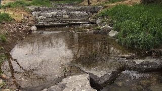 Natural Stream Restoration Restoring Streams Part III [upl. by Carnes]