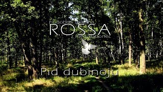 ROSSA 2  Pid dubinoju [upl. by Notlil]