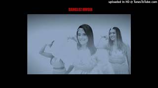 Feelinga SLOWED VERSION GARRY SANDHU X BANGLEZ MUSIX New Punjabi Song 2024 viral [upl. by Ennyrb]