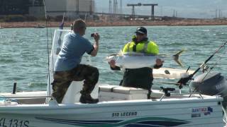 Port Augusta Kingfish Catch Release [upl. by Engel451]