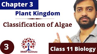 Chapter 3  Plant Kingdom  Classification of Algae  Class 11 CBSE RBSE NCERT Part3 [upl. by Tammie]