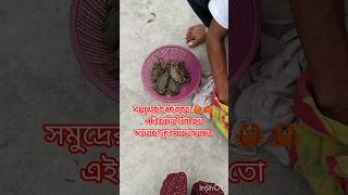 সমুদ্রের কাঁকড়ার 🦀🦀এই রেসিপিটা করলে সবাই চেটেপুটে খেয়ে নেবে এক থালা ভাতcrabsshortsfeed [upl. by Barret]