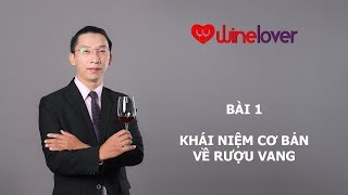 Kiến thức rượu vang  Bài 1  Khái niệm cơ bản về rượu vang [upl. by Launcelot]